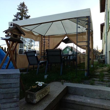 Ferienwohnung Finkenberg Sebnitz Exterior foto